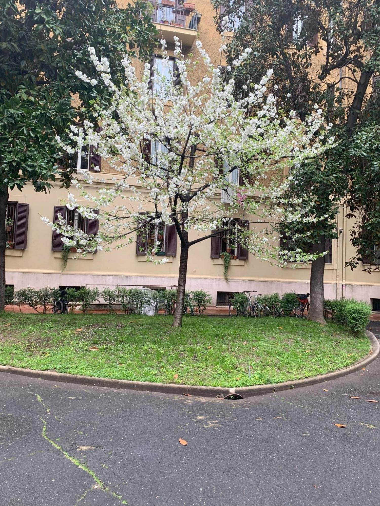 Apartamento Milizie *